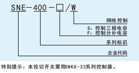 森能(néng)電(diàn)力